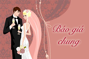 Báo giá trọn gói I